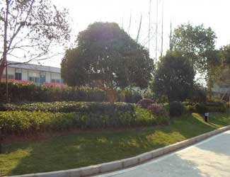 南京学校绿化